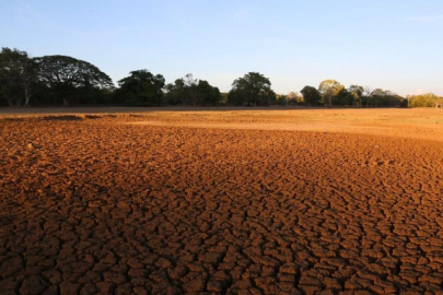 Toprak ve iklim değişikliği: Toprakların rolü ve etkileri