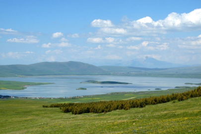 Ardahan ve Gürcistan sınırları arasında tektonik oluşumlu bir göl: Aktaş Gölü
