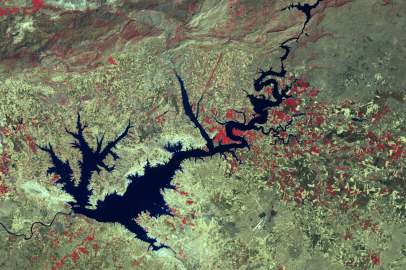 250'den fazla kuş türüne ev sahipliği yapıyor: Atatürk Baraj Gölü