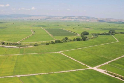 81 ilde ucuz arsa fırsatı! 1000 TL’den az taksitle 81 ilde ucuz arsa satışı başladı