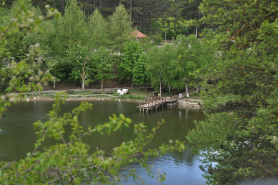 Sünnet Gölü Tabiat Parkı, eşsiz güzelliğiyle büyülüyor