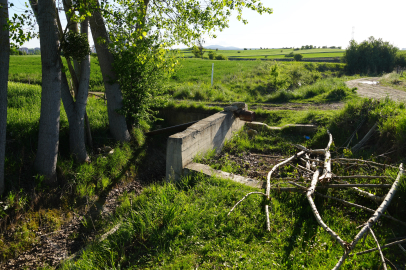 Sulama kanalında jandarma ekipleri tarafından bulundu! Başı kesilmiş ceset...