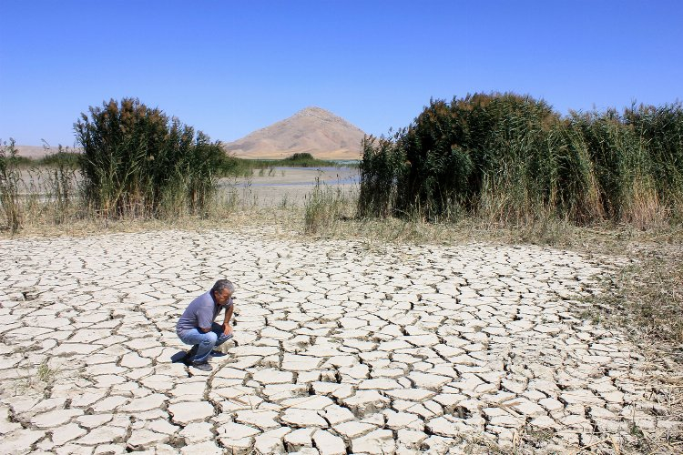 Tarımsal amaçlı kurutuldu, ekolojik denge bozuldu: Kestel Gölü -Bursa Hayat Gazetesi-2