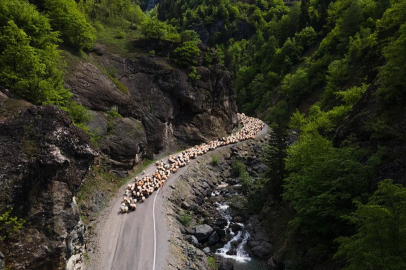 Yolculuk 4 gün sürecek! 'Sonbaharda geri döneceğiz'