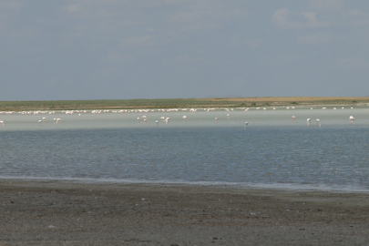 Seyfe Gölü kuruyor mu?