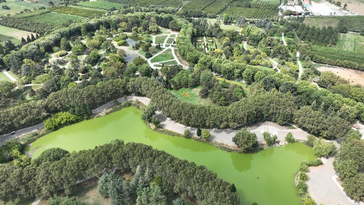 Bursa Büyükşehir Belediyesi 85 parkı yaza hazırlanıyor - Bursa Hayat Gazetesi-3