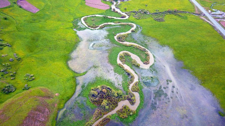 Yeşilin tonları arasında mest eden görüntüler - Bursa Hayat Gazetesi-2