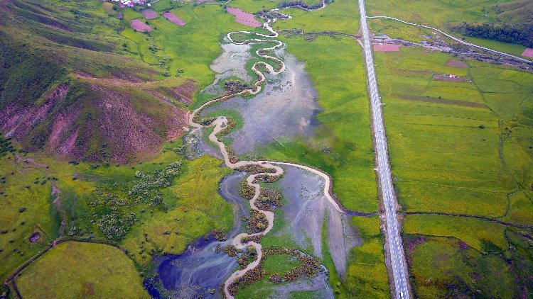 Yeşilin tonları arasında mest eden görüntüler - Bursa Hayat Gazetesi-4