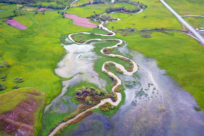 Yeşilin tonları arasında mest eden görüntüler