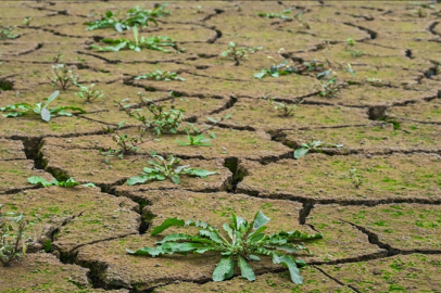 Anadolu'yu iklim değişikliği vurdu!