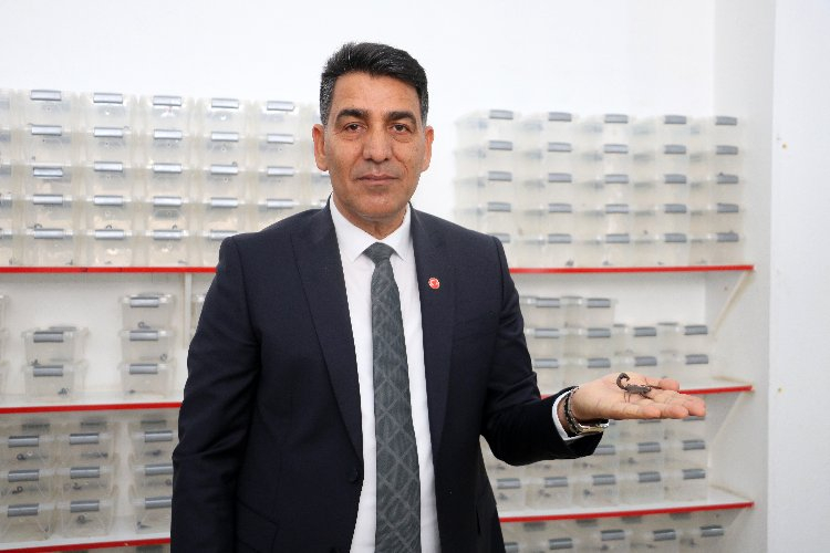 ABD'li profesör yurt dışına kaçırmaya çalışmıştı! Gramı 10 bin liradan satılıyor - Bursa Hayat Gazetesi-2