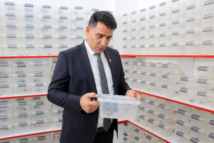 ABD'li profesör yurt dışına kaçırmaya çalışmıştı! Gramı 10 bin liradan satılıyor - Bursa Hayat Gazetesi-5