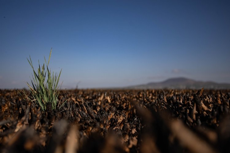 Anadolu'yu iklim değişikliği vurdu! Bursa Hayat Gazetesi -2