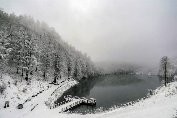 Ordu'nun saklı hazinesi: Ulugöl -Bursa Hayat Gazetesi-2