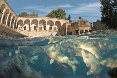 Şanlıurfa'daki Balıklıgöl'ün hikayesini biliyor musunuz?
