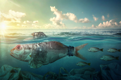 Plastik kirliliği: Çevre bilincini artırmanın acil gereksinimi