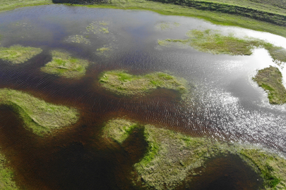 2006 yılında keşfedildi! Yıl boyunca yer değiştiriyorlar