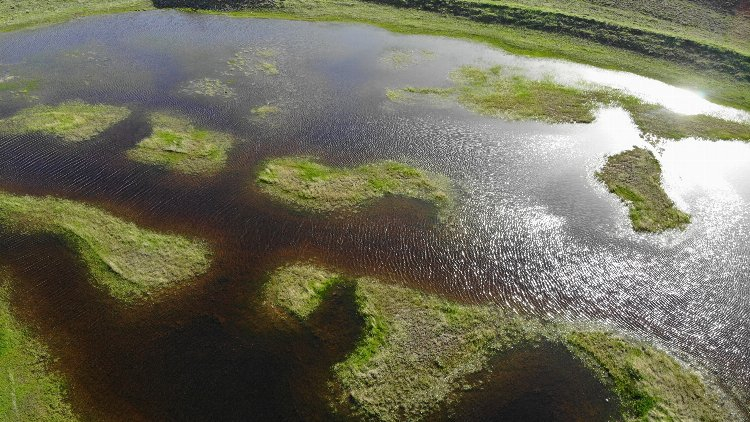 2006 yılında keşfedildi! Yıl boyunca yer değiştiriyorlar - Bursa Hayat Gazetesi-3