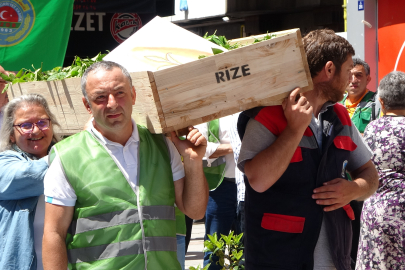 Açıklanan çay taban fiyatına üreticilerden tepki!