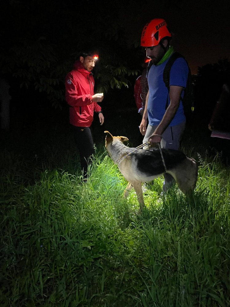 Uludağ'da mahsur kalan köpeği BAKUT ekipleri kurtardı - Bursa Hayat Gazetesi-2