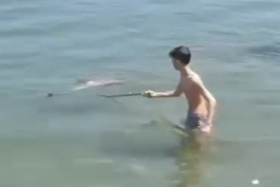 Bursa'da denize giren çocuklar tarafından ölü bulundu!