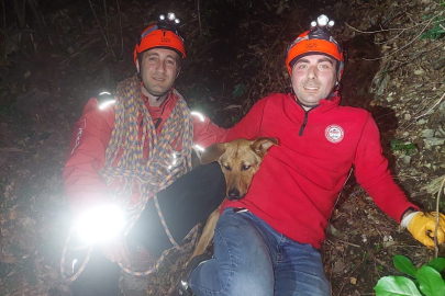 Uludağ'da mahsur kalan köpeği BAKUT ekipleri kurtardı