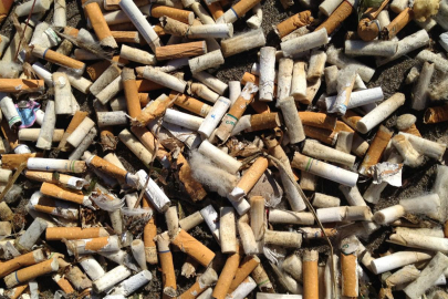 Sigara izmaritleri neden tehlikeli?