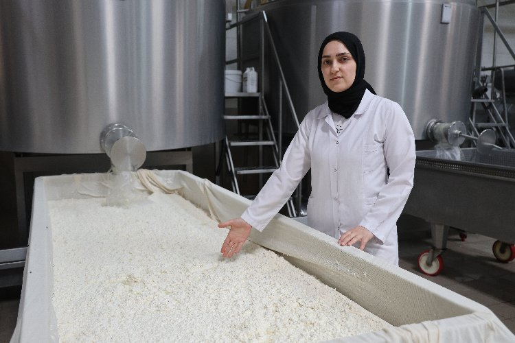 Antakya künefesinin sırrı bu peynirde yatıyor - Bursa Hayat Gazetesi-4