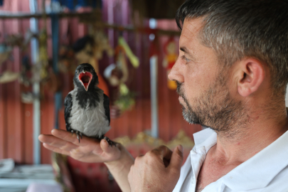 Enkazdan çıkan karga Kahramanmaraş'ın maskotu oldu