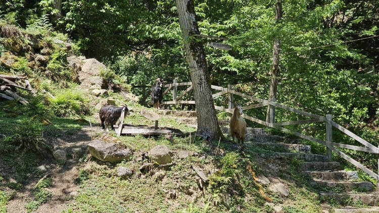 Mençuna Şelalesi: Yerli ve yabancı turistleri uğrak noktası oldu - Bursa Hayat Gazetesi-4