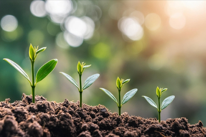 5 yılda 650 milyon liralık tasarruf!