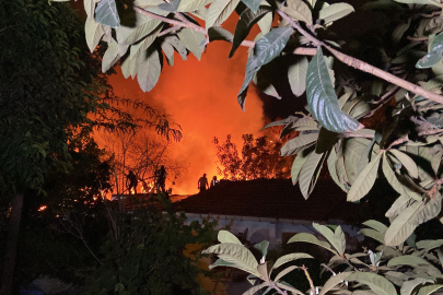 Ahşap barakada yangın!