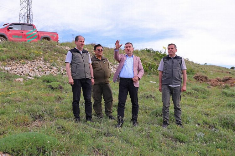 Bayburt'ta ağaçlandırma projesi! 300 bin fidan toprakla buluşacak - Bursa Hayat Gazetesi-2