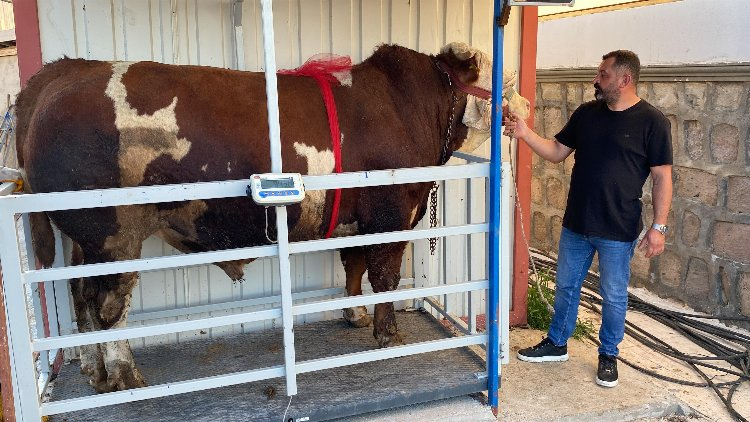 230 bin liradan satışa çıktı! Bursa Hayat Gazetesi -2