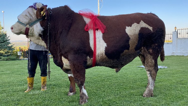 230 bin liradan satışa çıktı! Bursa Hayat Gazetesi -3