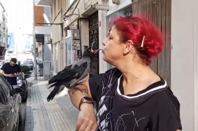 Bursa'da kediden kurtardığı karga ile dost oldu