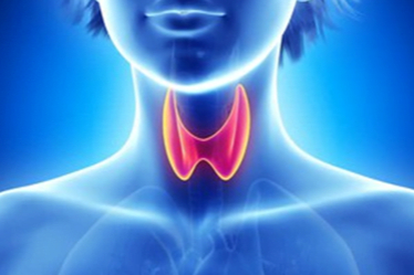 Guatr hastalığı: Kapsamlı bir inceleme