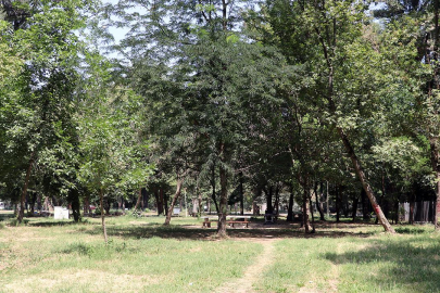 Edirne'de orman yangınlarıyla mücadele kapsamında kısıtlama kararı!