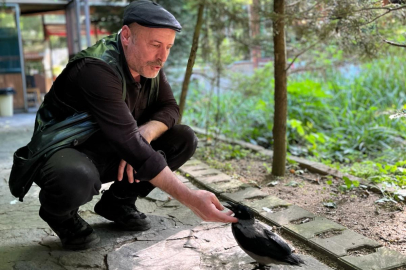 İnsan ve karganın dostluğu