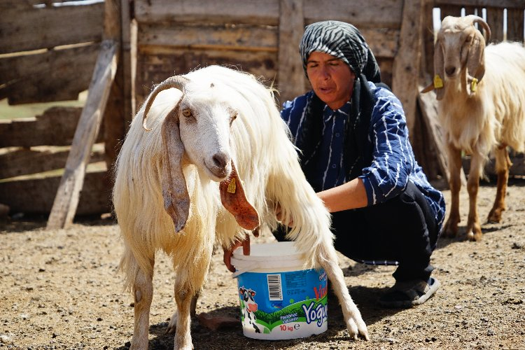 Görme engelleri onlara engel olmadı! Birlikte çalışıp üstesinden geliyorlar - Bursa Hayat Gazetesi-5