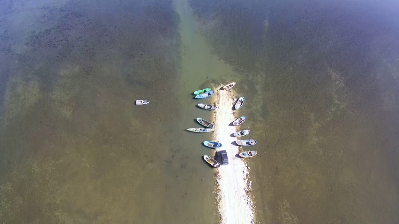 Türkiye'nin en önemli sulak alanlarından: Çavuşçu Gölü -Bursa Hayat Gazetesi-2