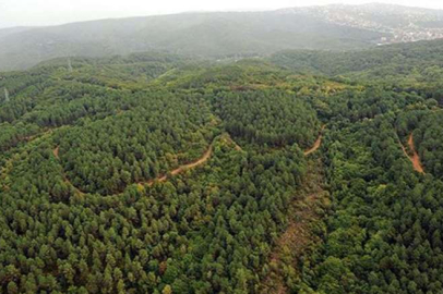 Kütahya Valiliği duyurdu! Ormanlara giriş yasaklandı