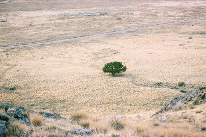 Çölleşme tehdidi! Sağlıklı araziler bozuluyor