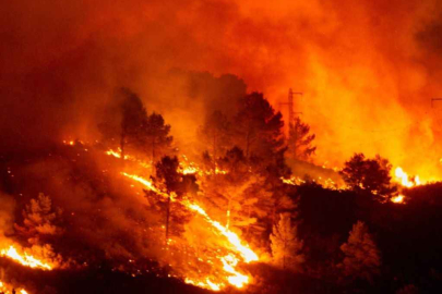 Los Angeles'ta yangın felaketi 14 bin 625 dönümlük alan yandı!
