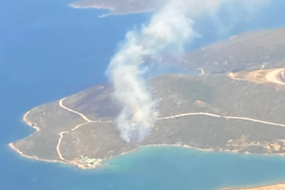 İzmir'in Urla ilçesinde orman yangını!