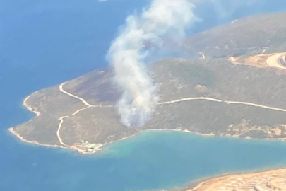 İzmir Urla'daki yangın kontrol altına alındı