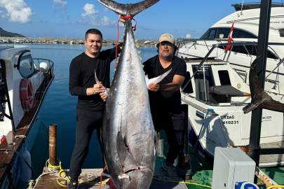 İskenderun körfezinde adrenalin dolu dakikalar!