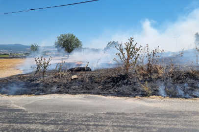 Bursa'da yangın: 20 dönümlük alana yayıldı!