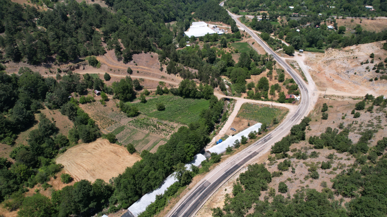 Bursa'da kurduğu mavi ladin bahçesiyle dünya pazarına açılmak istiyor - Bursa Hayat Gazetesi-2