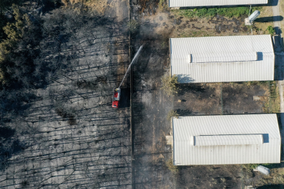 Rektör açıkladı! Bursa Uludağ Üniversitesi'nde ne kadar alan yandı?